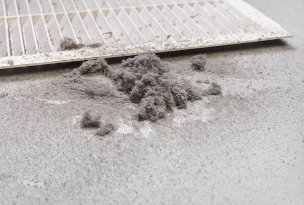 Best Affordable Air Duct Cleaning  in Farmer City, IL