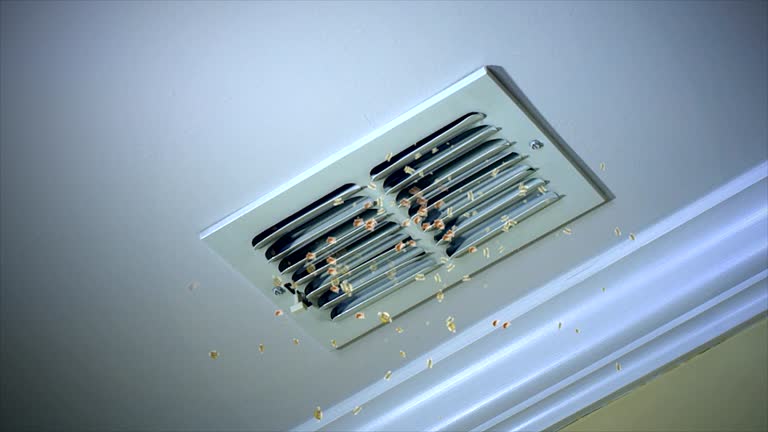 Best Air Duct Cleaning Cost  in Farmer City, IL