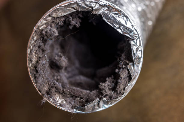 Best Ventilation Cleaning Services  in Farmer City, IL