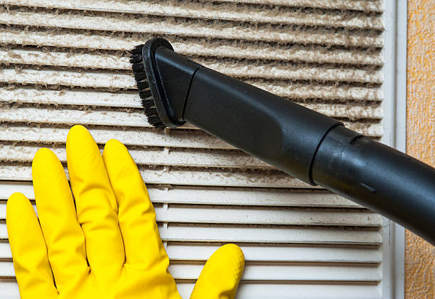 Best Ductwork Cleaning Services  in Farmer City, IL